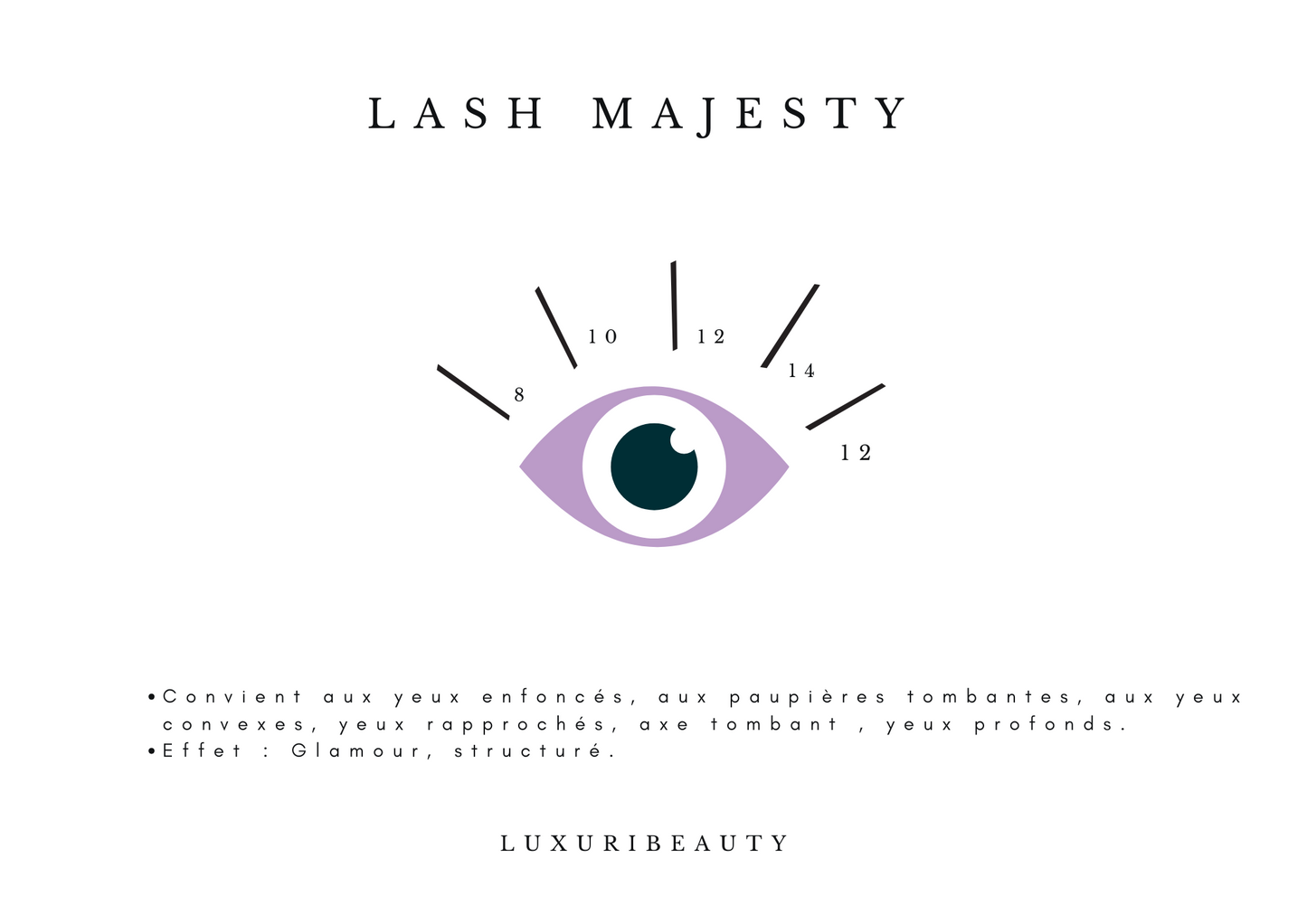 LASH MAJESTY - Extensions de cils Volume russe